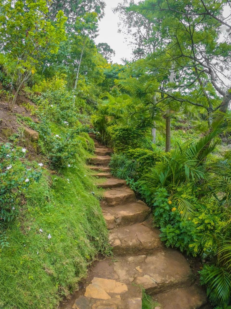 Mountain Range Cottage 埃拉 外观 照片